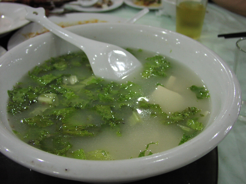 P1010010c